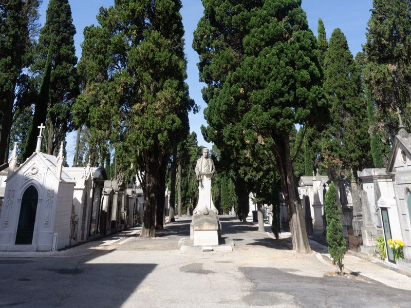 Detalhes de escultura e arquitetura funeraria no Cemiterio dos Prazeres
