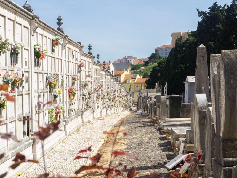 Vista a partir do Cemiterio dos Prazeres para Alcantara e o Tejo