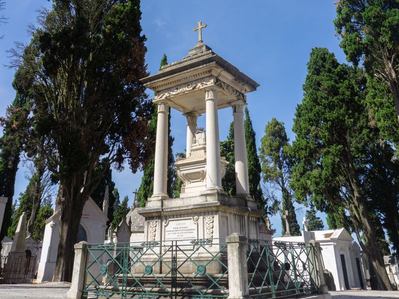Alamedas arborizadas com ciprestes no Cemiterio dos Prazeres